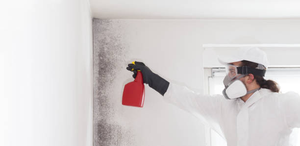 Best Water Damage Restoration  in Llington, MI